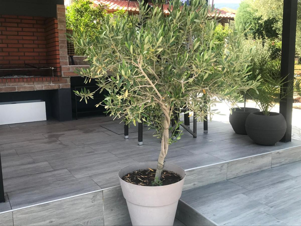 Terra Holiday Homes-Marigold Asprovalta Dış mekan fotoğraf